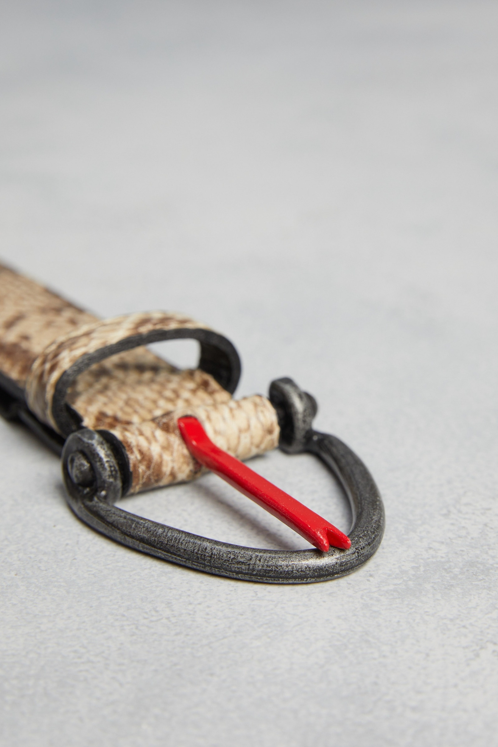 CINTURÓN REPTILE                                                                                     
