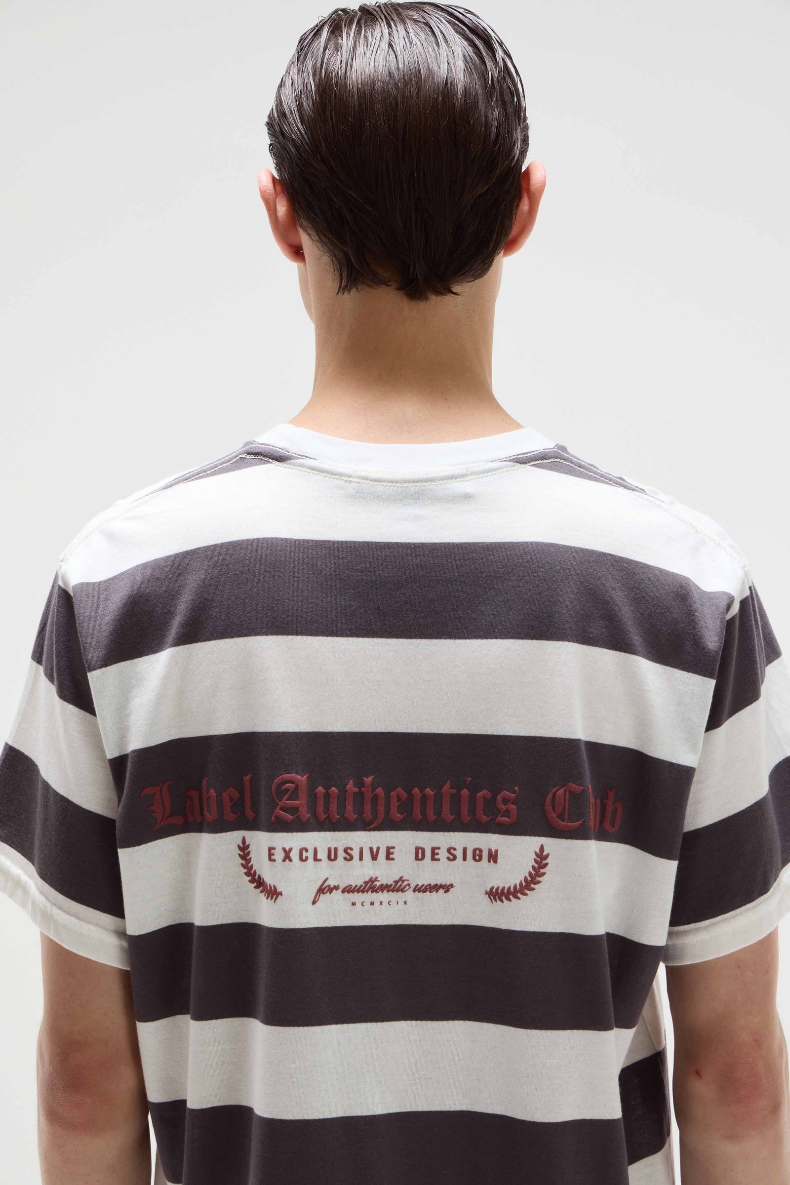 REMERA AUTHENTICS LINED